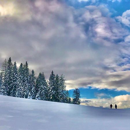 Apartment 26 Eighty Semmering Dış mekan fotoğraf